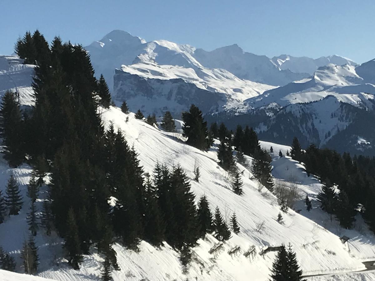 Résidence Les Chardons Argentés Samoëns Exterior foto